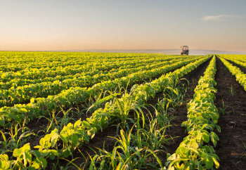 agriculture service